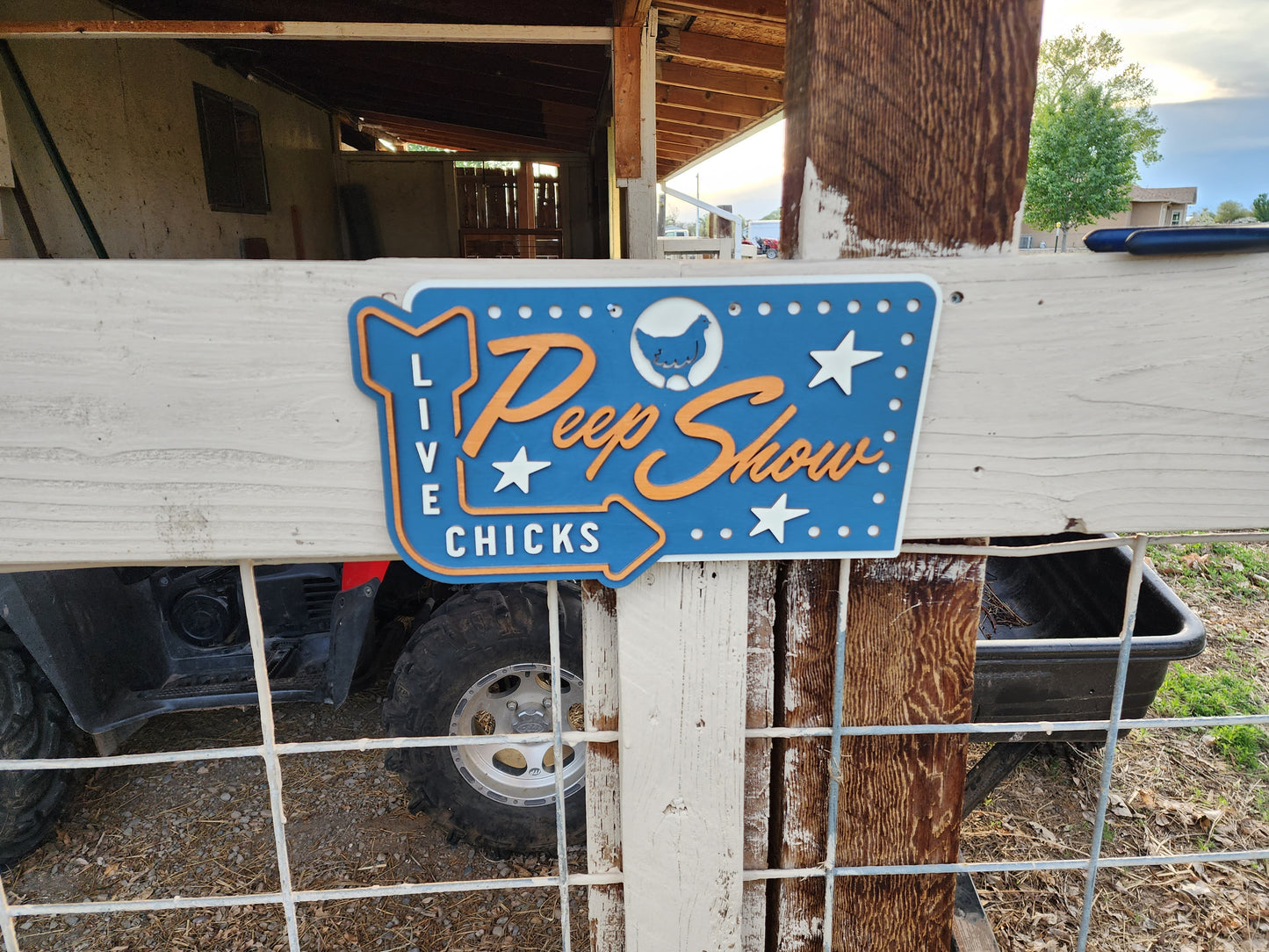 Peep Show - Multi-layer Chicken Coop Sign - Live Chicks!